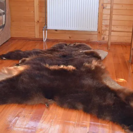 U Tsymbora Sinyak (Transcarpathia)